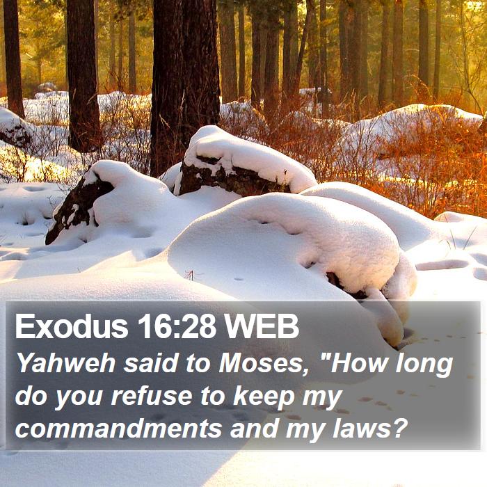 Exodus 16:28 WEB Bible Study