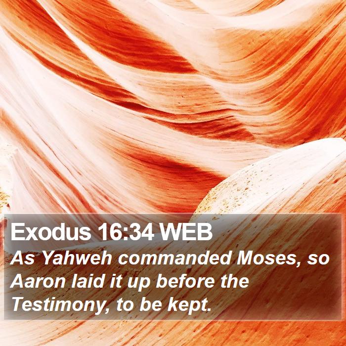 Exodus 16:34 WEB Bible Study