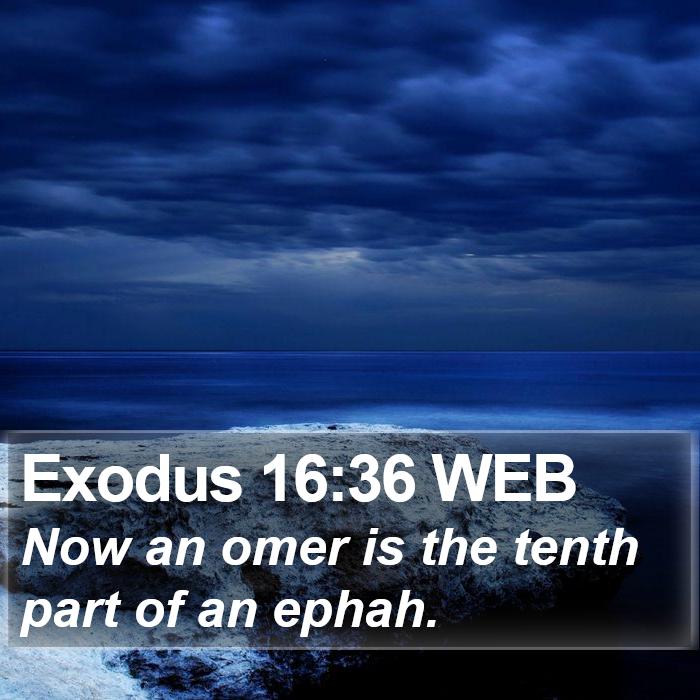 Exodus 16:36 WEB Bible Study