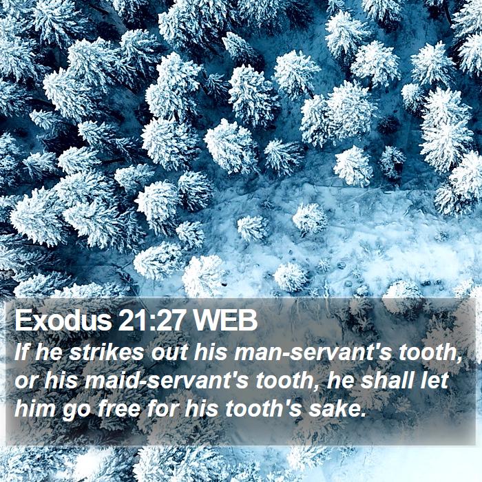 Exodus 21:27 WEB Bible Study