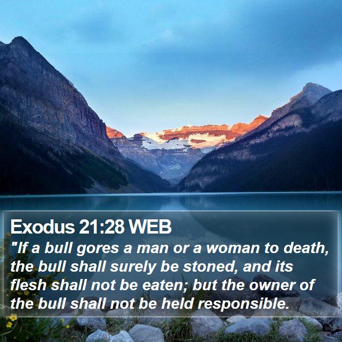 Exodus 21:28 WEB Bible Study