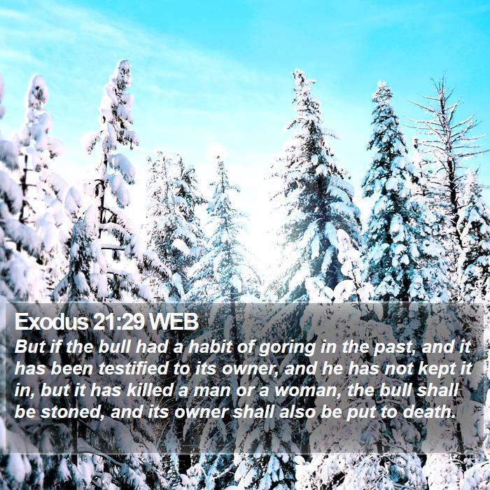 Exodus 21:29 WEB Bible Study