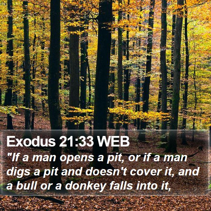 Exodus 21:33 WEB Bible Study