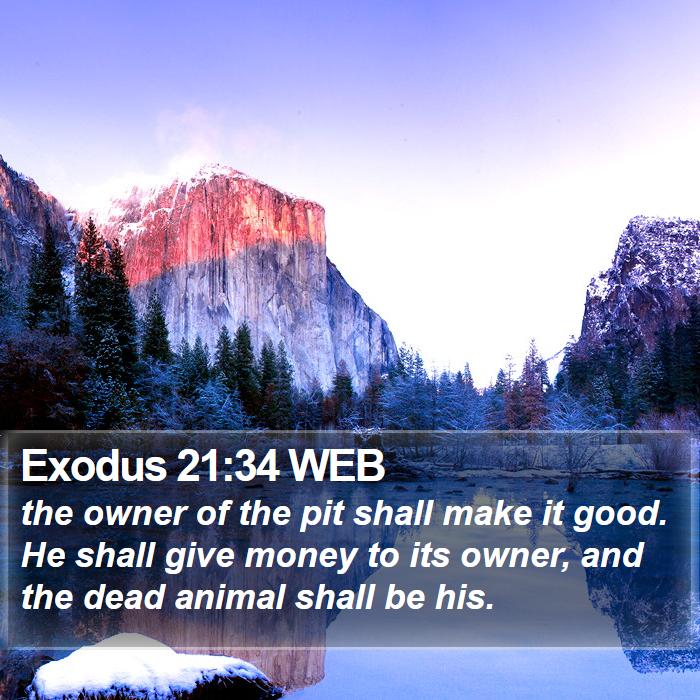 Exodus 21:34 WEB Bible Study