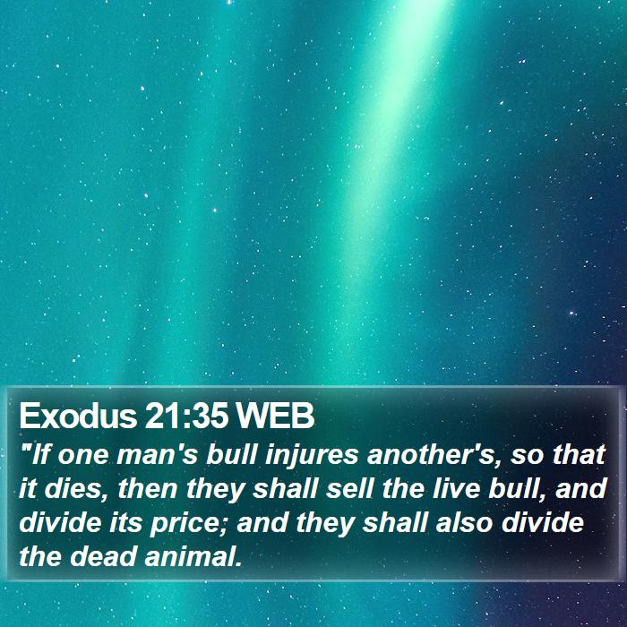 Exodus 21:35 WEB Bible Study