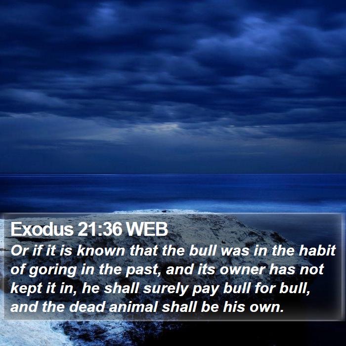 Exodus 21:36 WEB Bible Study