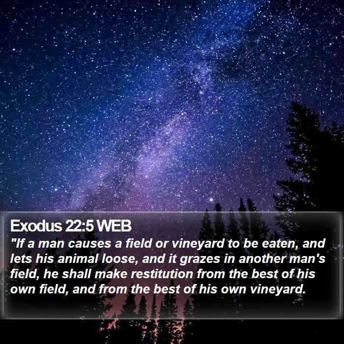 Exodus 22:5 WEB Bible Study