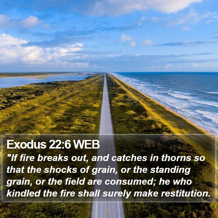 Exodus 22:6 WEB Bible Study