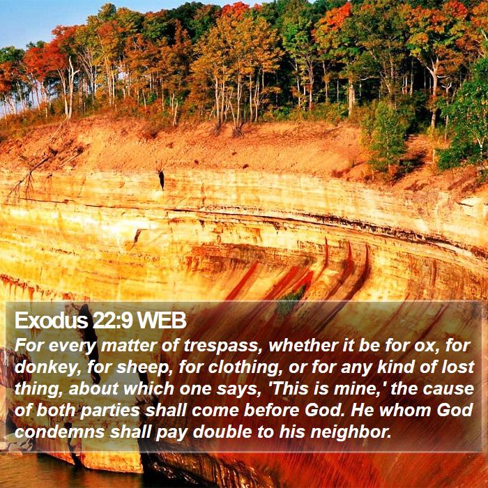 Exodus 22:9 WEB Bible Study