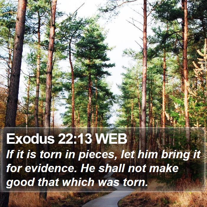 Exodus 22:13 WEB Bible Study