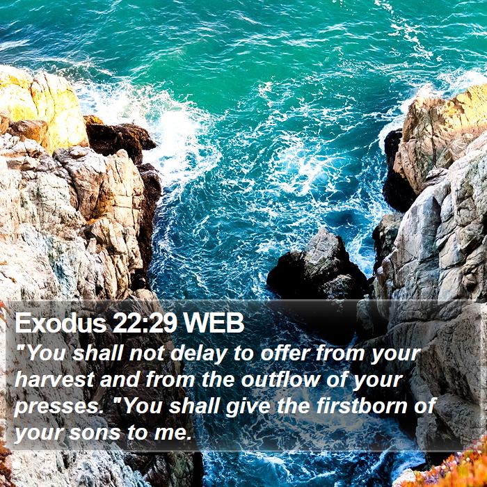 Exodus 22:29 WEB Bible Study