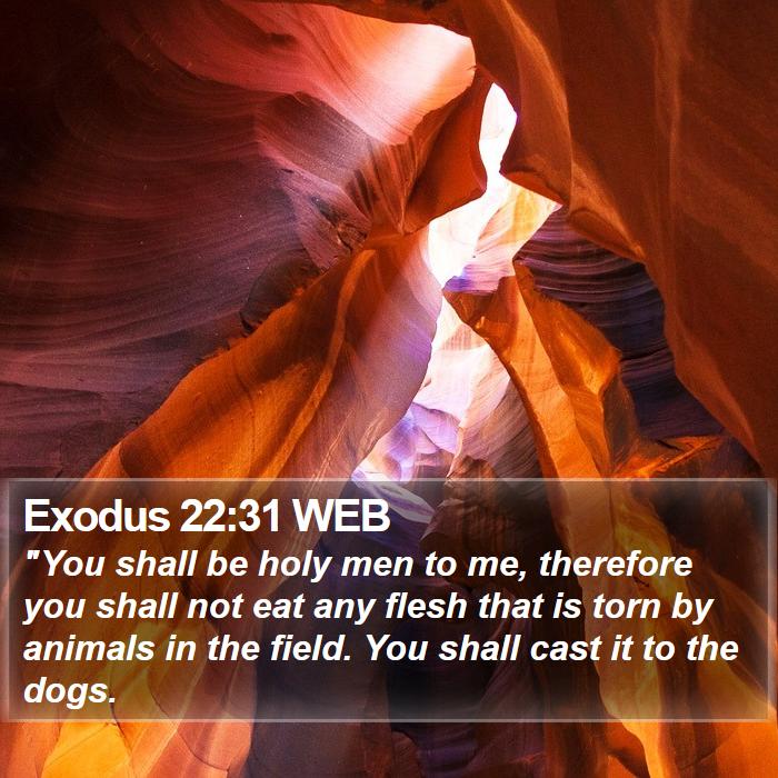 Exodus 22:31 WEB Bible Study