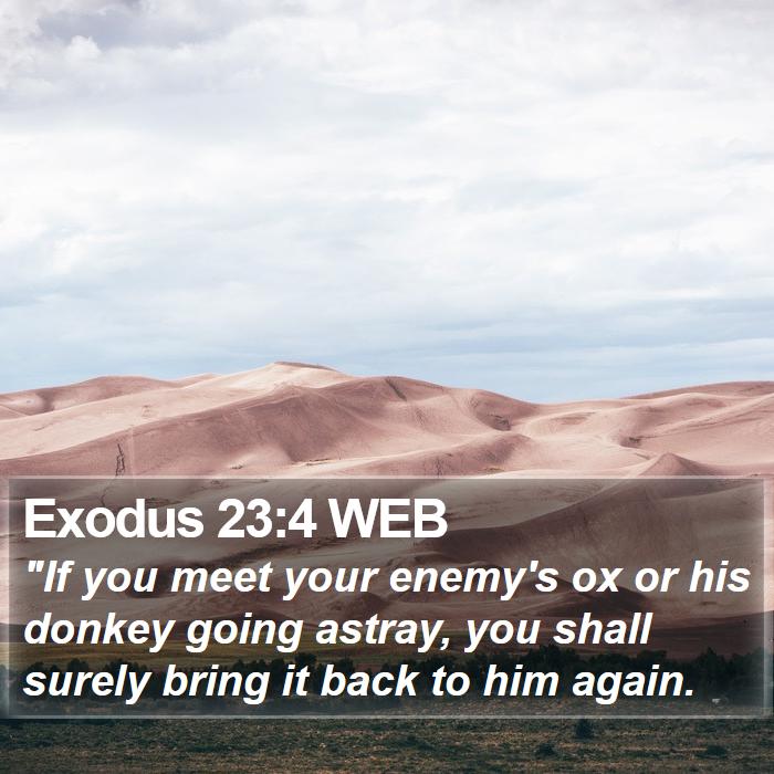 Exodus 23:4 WEB Bible Study