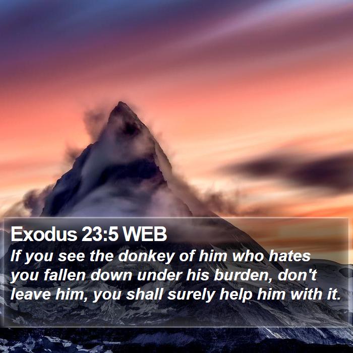 Exodus 23:5 WEB Bible Study