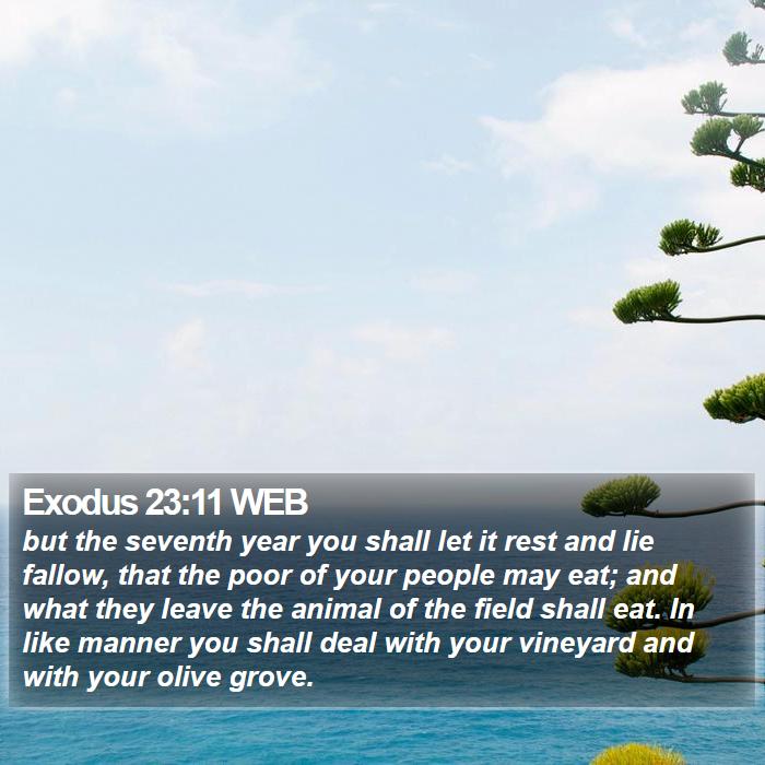 Exodus 23:11 WEB Bible Study