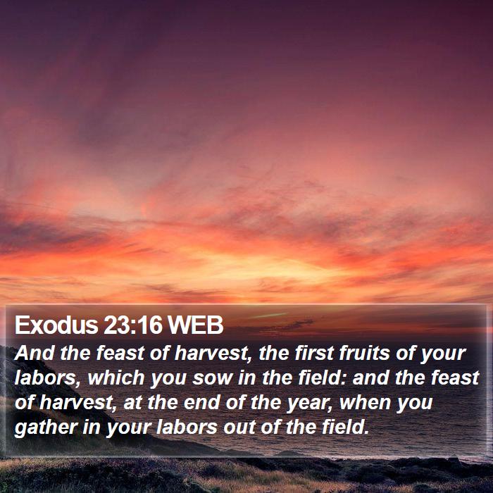 Exodus 23:16 WEB Bible Study