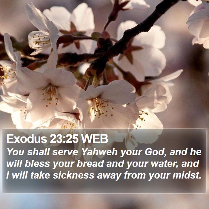 Exodus 23:25 WEB Bible Study