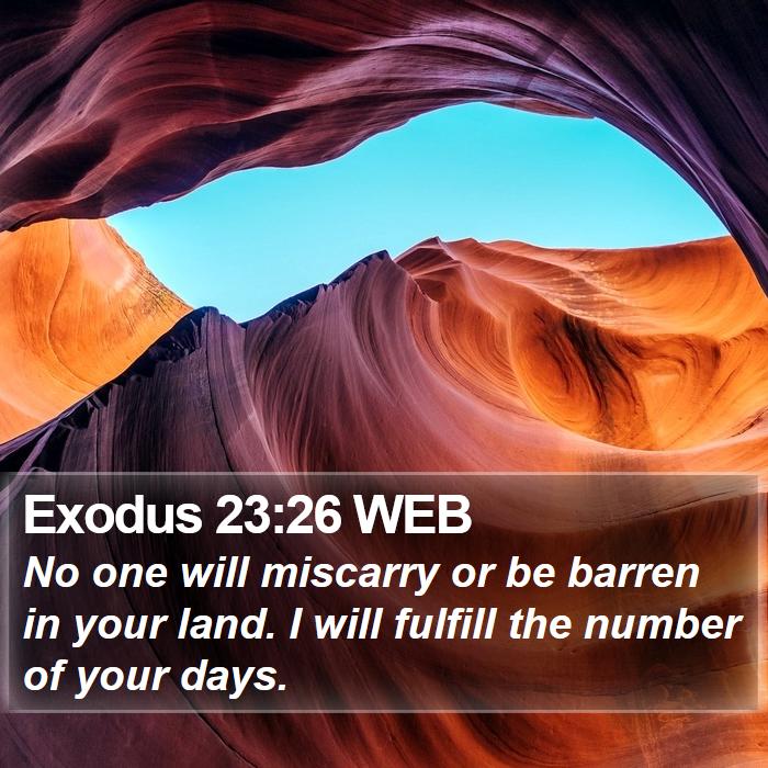 Exodus 23:26 WEB Bible Study