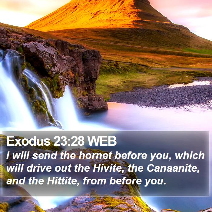 Exodus 23:28 WEB Bible Study