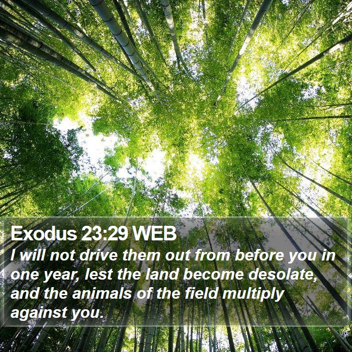 Exodus 23:29 WEB Bible Study