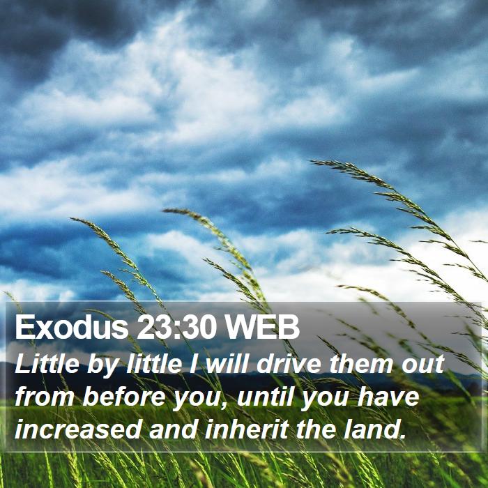 Exodus 23:30 WEB Bible Study