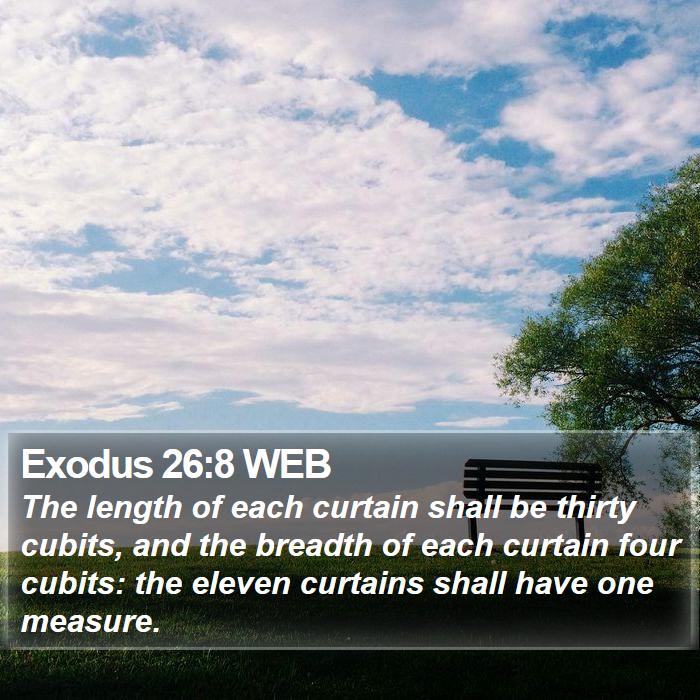 Exodus 26:8 WEB Bible Study