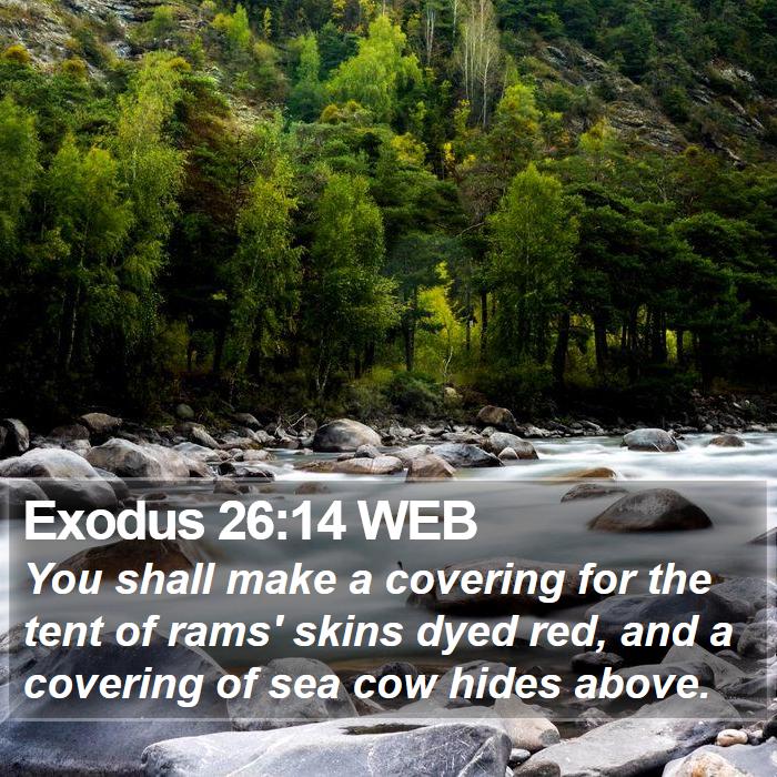 Exodus 26:14 WEB Bible Study