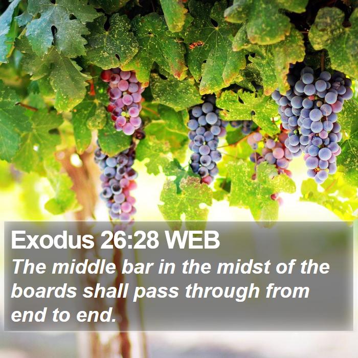 Exodus 26:28 WEB Bible Study