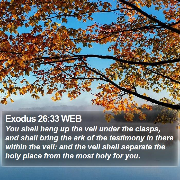 Exodus 26:33 WEB Bible Study