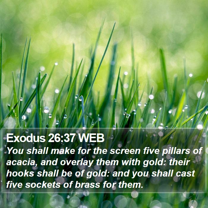 Exodus 26:37 WEB Bible Study