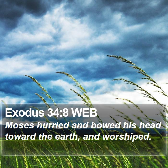 Exodus 34:8 WEB Bible Study