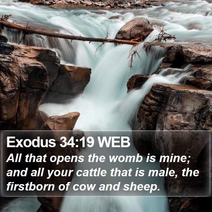 Exodus 34:19 WEB Bible Study