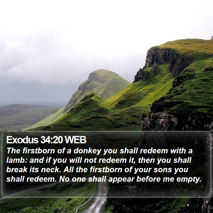 Exodus 34:20 WEB Bible Study