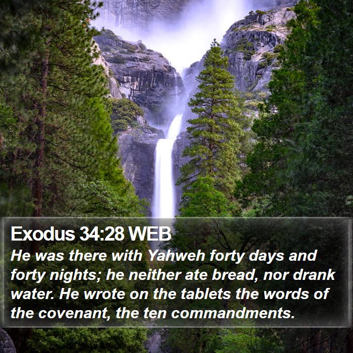 Exodus 34:28 WEB Bible Study