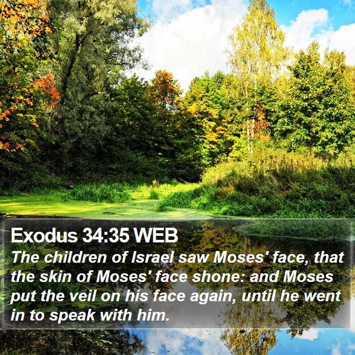 Exodus 34:35 WEB Bible Study