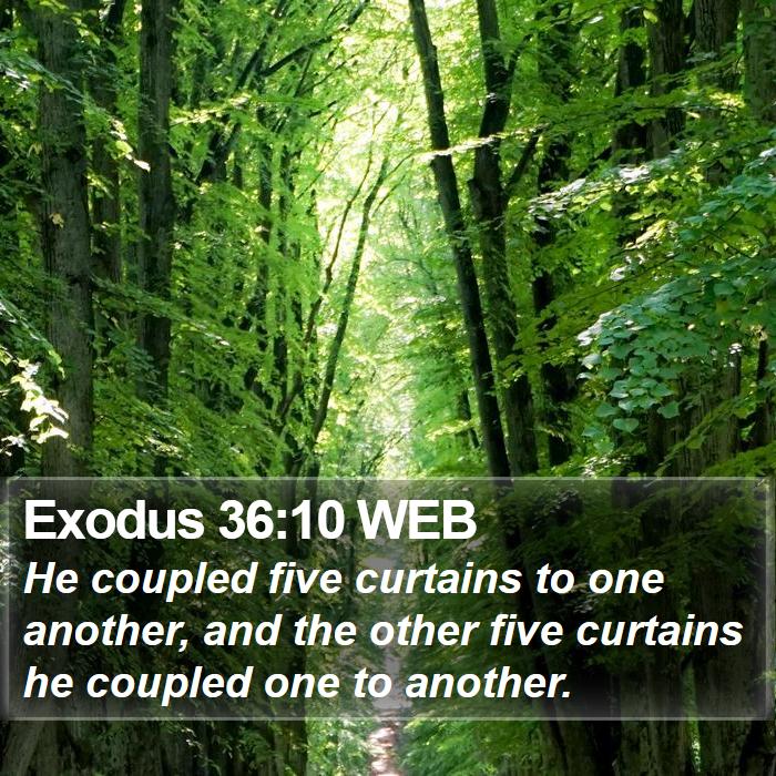 Exodus 36:10 WEB Bible Study