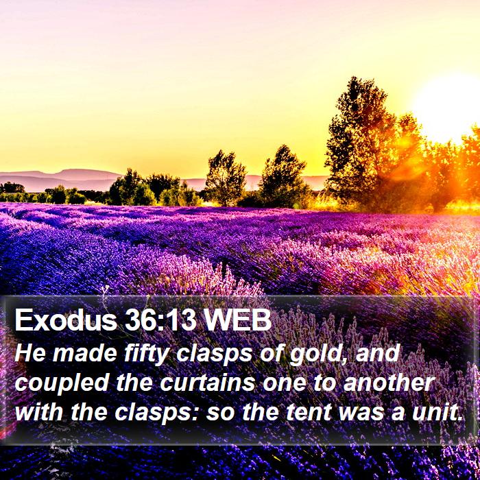 Exodus 36:13 WEB Bible Study