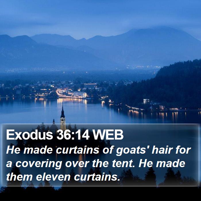 Exodus 36:14 WEB Bible Study