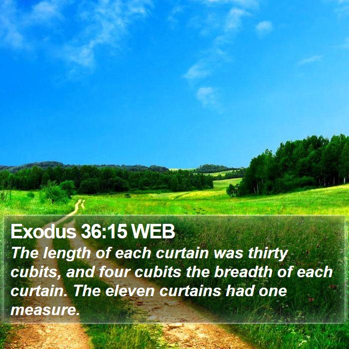 Exodus 36:15 WEB Bible Study