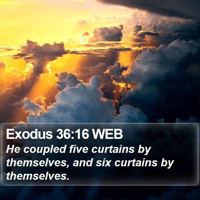 Exodus 36:16 WEB Bible Study