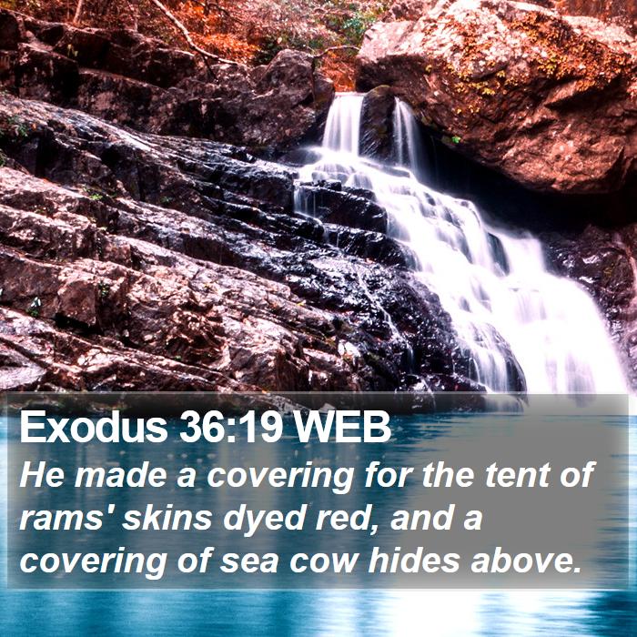 Exodus 36:19 WEB Bible Study