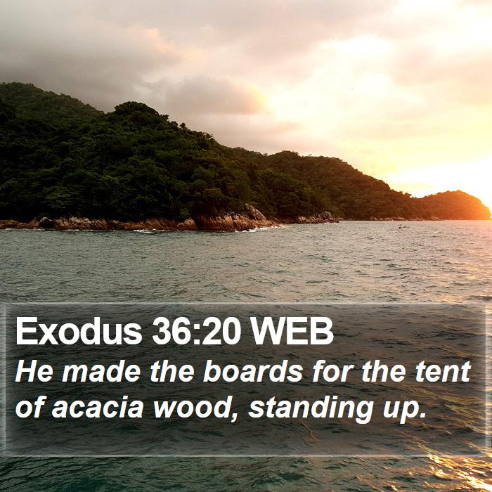 Exodus 36:20 WEB Bible Study