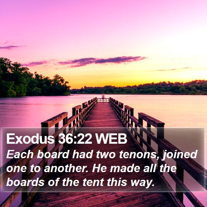 Exodus 36:22 WEB Bible Study