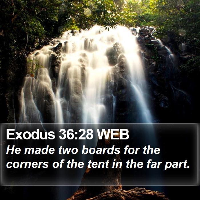 Exodus 36:28 WEB Bible Study