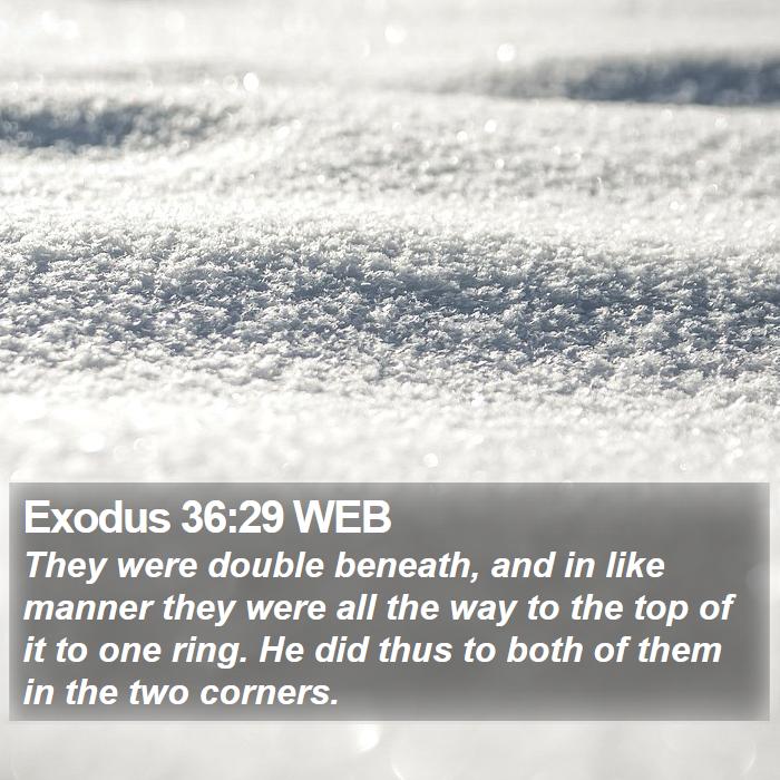 Exodus 36:29 WEB Bible Study