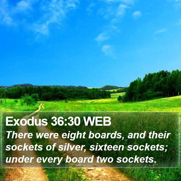 Exodus 36:30 WEB Bible Study