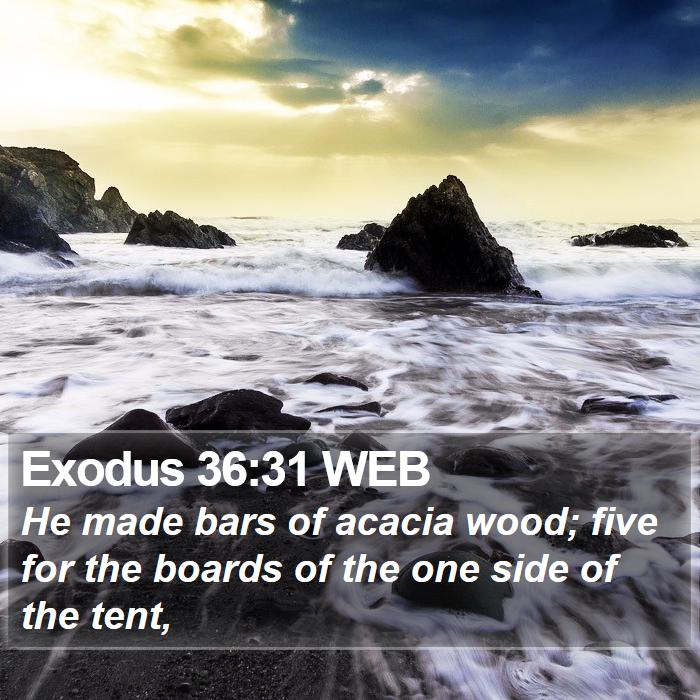 Exodus 36:31 WEB Bible Study