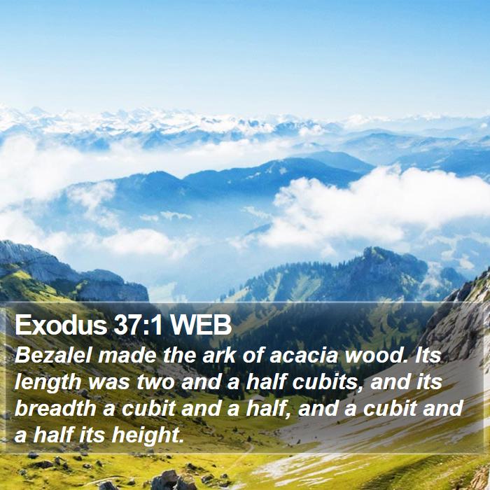 Exodus 37:1 WEB Bible Study