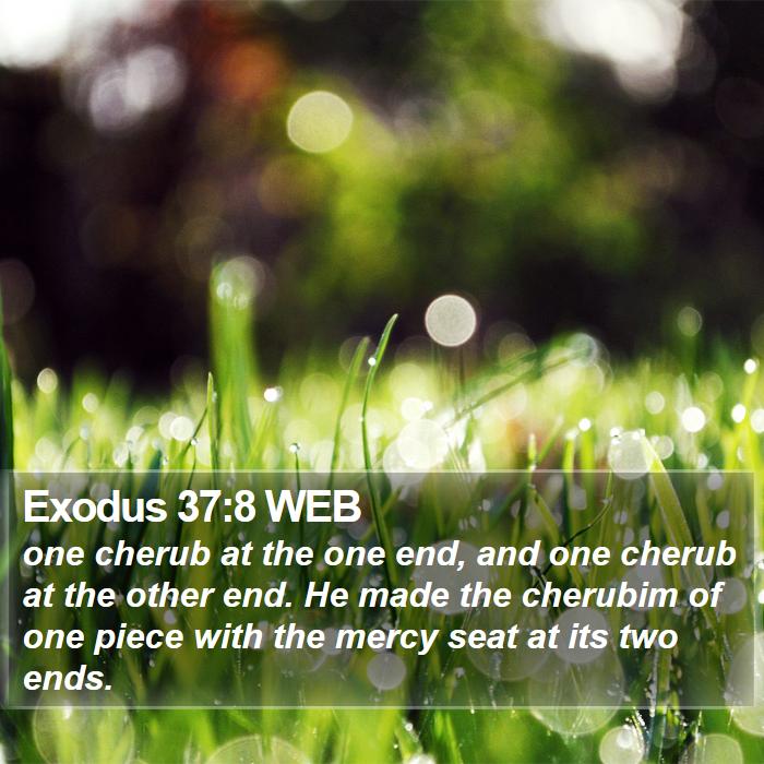 Exodus 37:8 WEB Bible Study