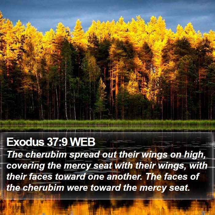 Exodus 37:9 WEB Bible Study